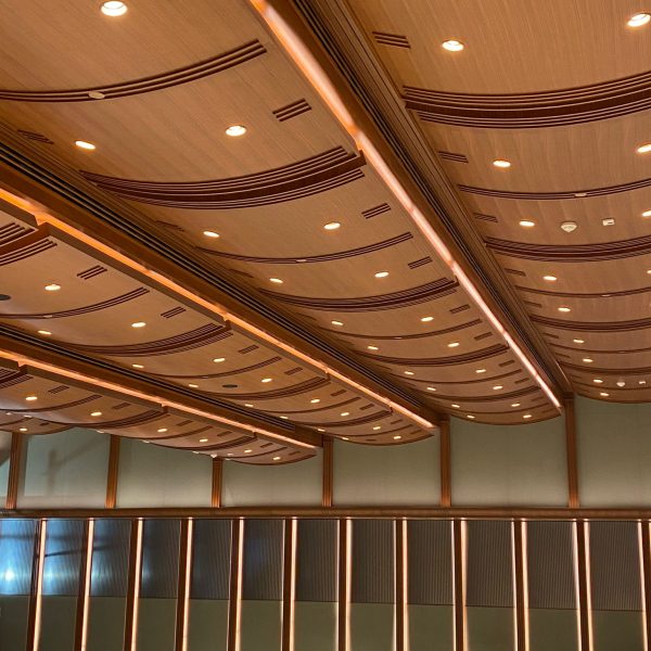 konferans salonu 9